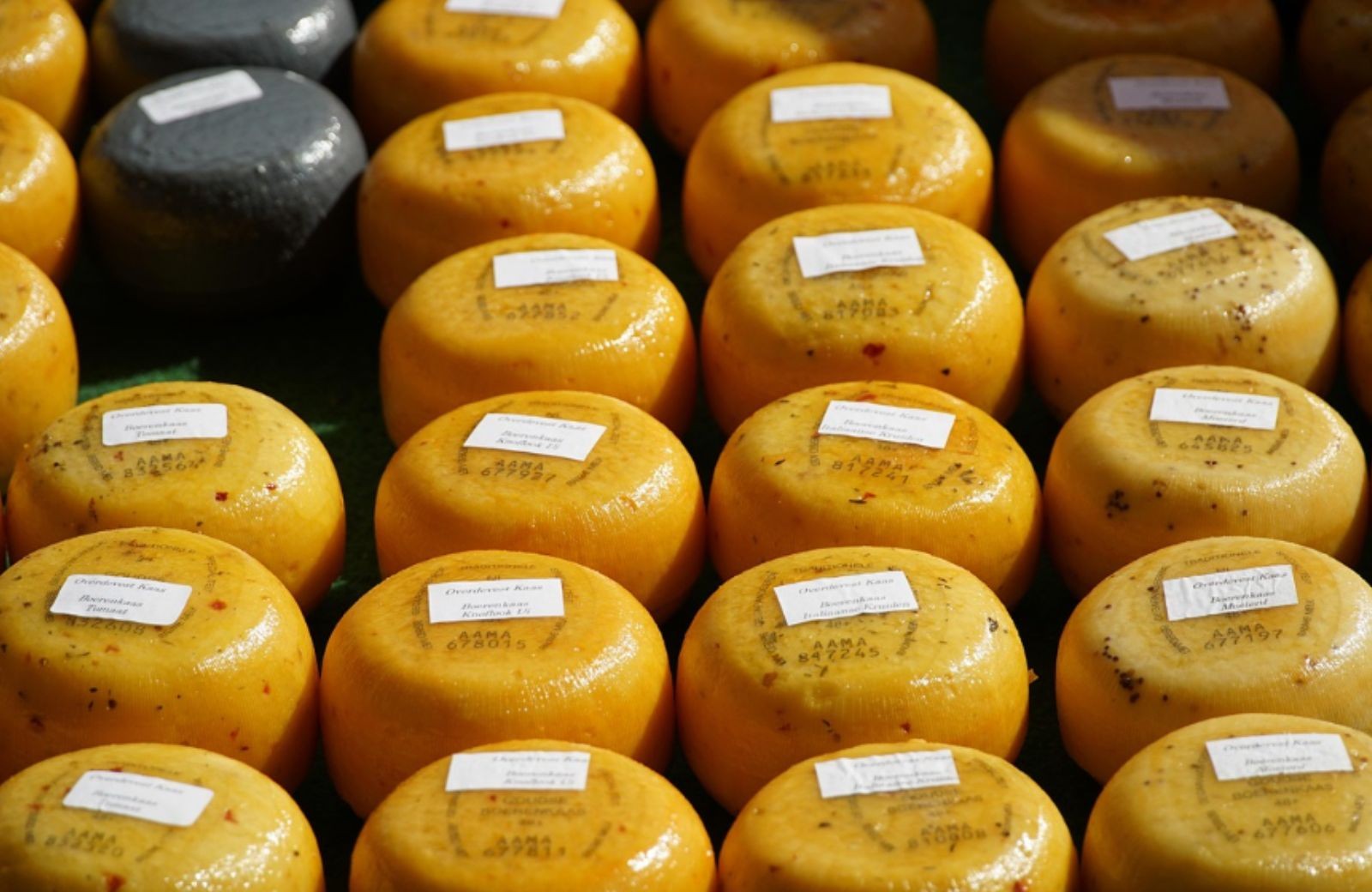 Stolpe Cheese Farm