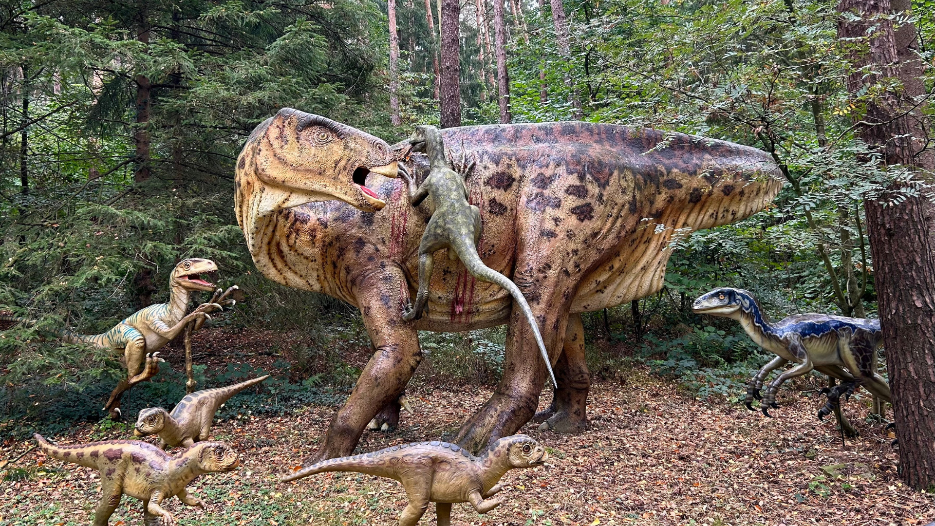 Berkenhof Tropical Zoo